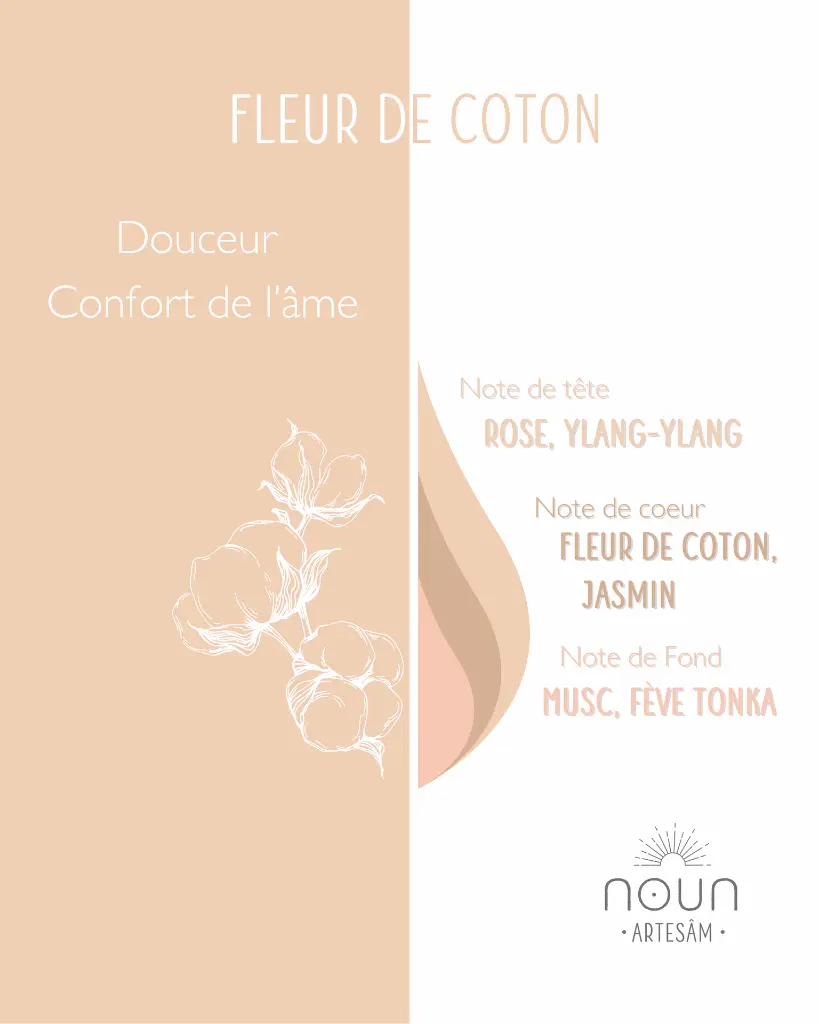 fleur de coton 3.webp