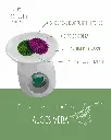 Aloe vera 2.webp